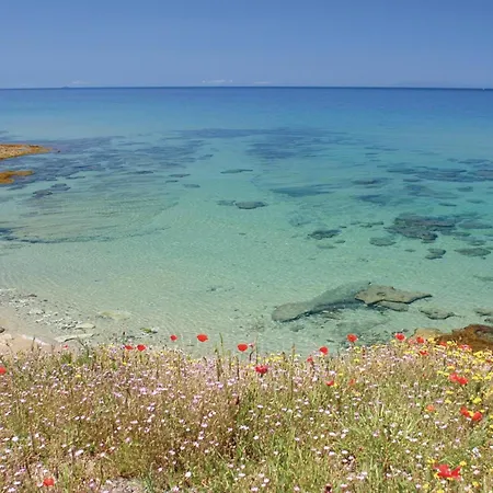 Casa Margherita 4 * 발레도리아